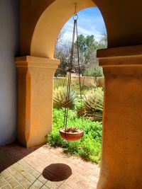 Potted plants in balcony