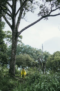 Man on field against trees in forest