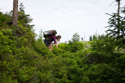 People walking in forest against sky