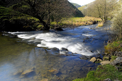 Scenic view of river stream in forest