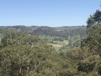 Scenic view of landscape against clear sky