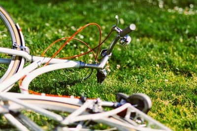 Close-up of green grass