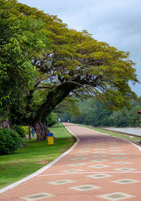 Road amidst trees in park against sky