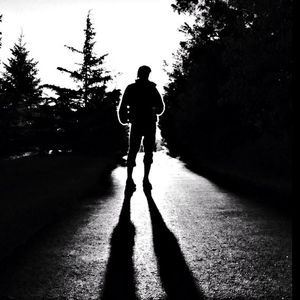 Shadow of woman on tree trunk