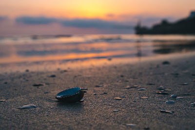 Surface level of sea shore against sky during sunset