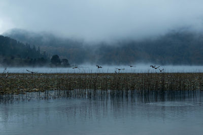 Scenic view of lake and mountains in foggy weather