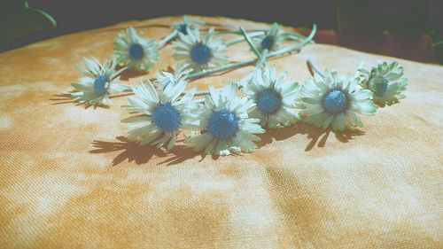 High angle view of flowers on textured surface