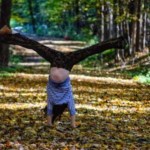 Full length rear view of man in forest