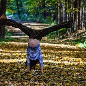 Full length rear view of man in forest
