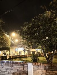 Illuminated street amidst trees and buildings at night