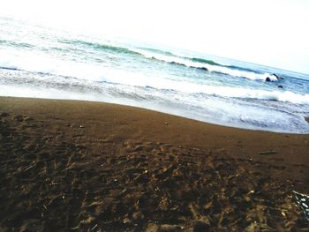 Close-up of beach against sky