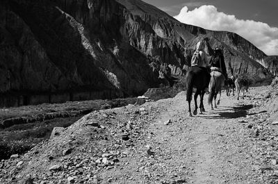 Rear view of people riding horses on dirt road against mountain