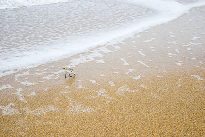 High angle view of a beach