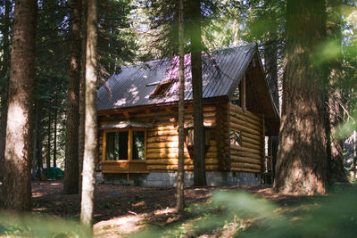 House in forest