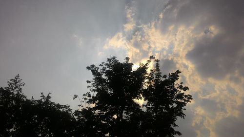 Low angle view of silhouette trees against sky at sunset