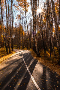 Road amidst trees in forest during autumn