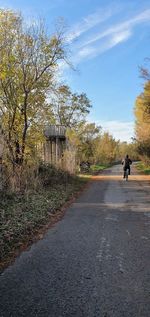 Rear view of man walking on road by trees