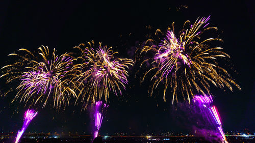 Low angle view of firework display at night