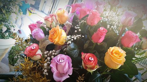 Close-up of pink roses