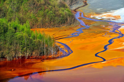 High angle view of polluted water by trees at forest