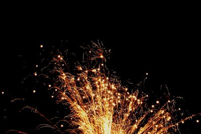 Low angle view of firework display at night