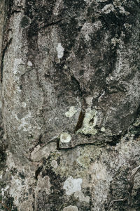 Full frame shot of old weathered rock