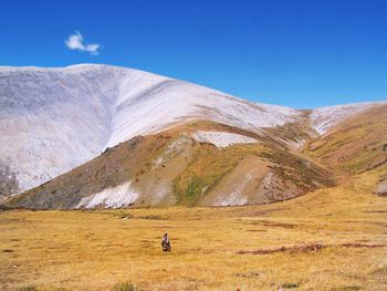 Scenic view of landscape against blue sky