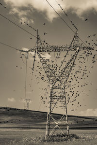 Flock of birds starting from a power pole on field against sky