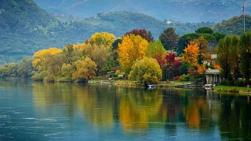 Scenic view of lake by trees during autumn