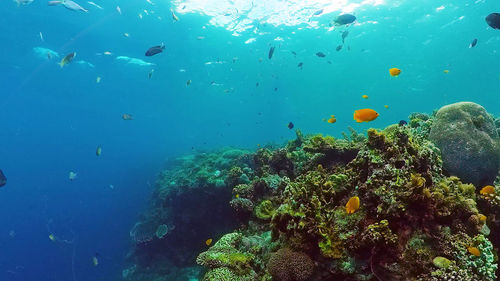 underwater
