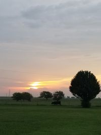 Scenic view of field against sky during sunset