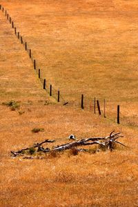 Scenic view of wooden fence on field