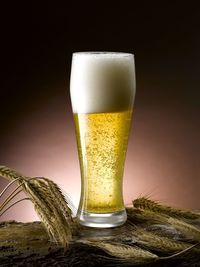 Close-up of beer glass on table