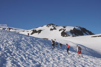 People walking on mt rainier against clear sky on sunny day during winter