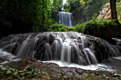 Scenic view of waterfall in forest