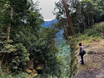 Full length of man walking by trees in forest