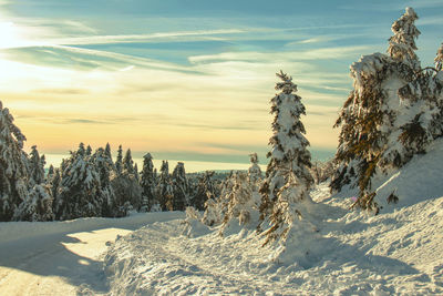 Snow covered landscape against sky during sunset in pastel colors