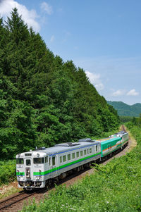 Blue sky, green trees and inspection train