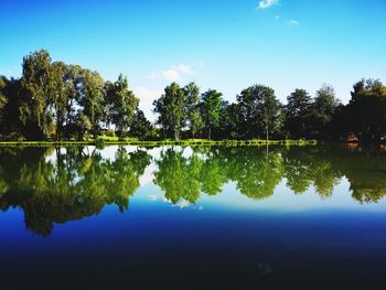 Reflection of trees in lake against blue sky