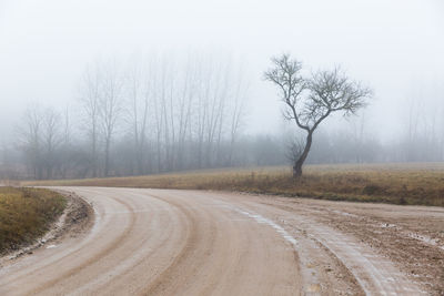 Dirt road amidst bare trees against sky