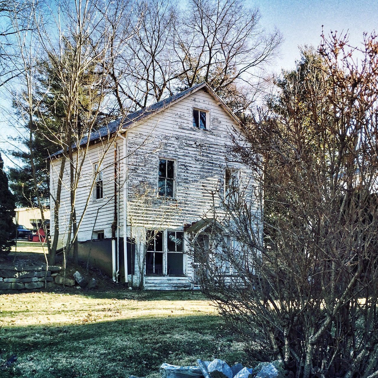 architecture, building exterior, built structure, tree, bare tree, branch, church, place of worship, house, sky, facade, religion, outdoors, day, exterior, no people, sunlight, spirituality, nature