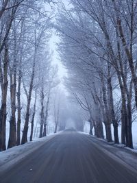 winter