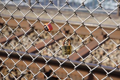 Close-up of padlock on chainlink fence