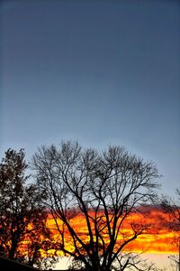 Silhouette tree against sky during sunset