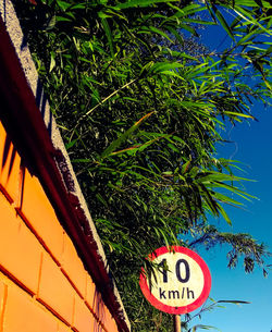 Close-up of road sign against trees