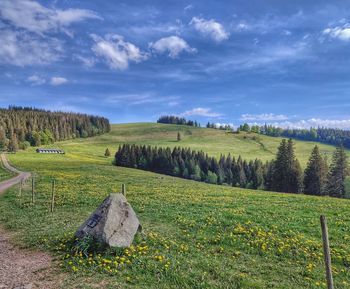 Scenic view of field against sky