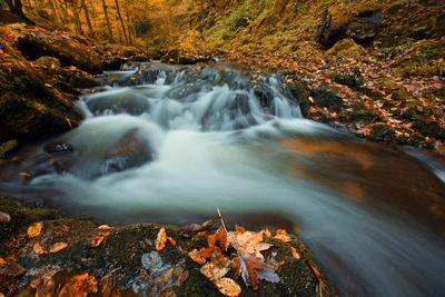 Scenic view of waterfall in forest during autumn