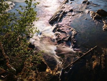 High angle view of water flowing through rocks