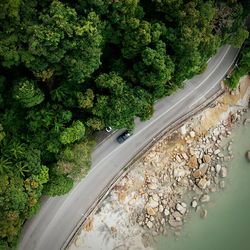 High angle view of road amidst trees and plants