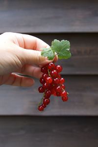 Midsection of person holding strawberry